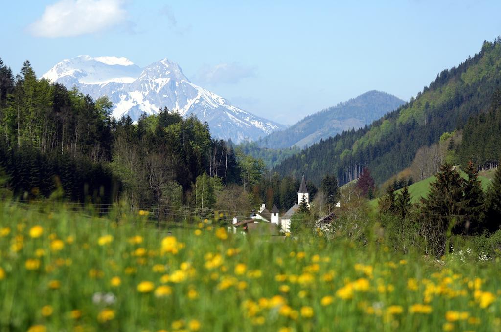 Alpenhotel Ensmann Lassing  외부 사진